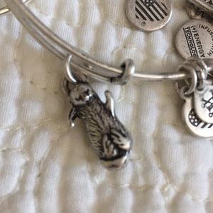 Alex and Ani bracelet. Silver
